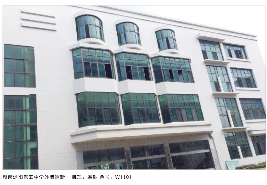 泰斯特西班牙灰泥外墻W110/W130系列產品典型案例 