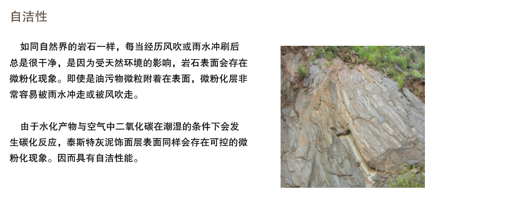 泰斯特愛丁堡灰泥外墻W220系列產品優勢 自潔性 泰斯特愛丁堡灰泥外墻W220系列產品優勢 自潔性