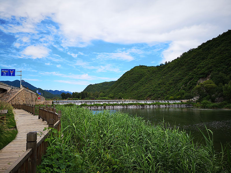 泰斯特細金砂灰泥|白樺林賓館完美綻放 泰斯特細金砂灰泥|白樺林賓館完美綻放